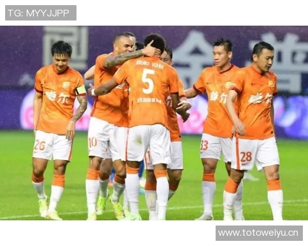 城市联赛最新积分榜揭晓北京排球队以94分稳居第一