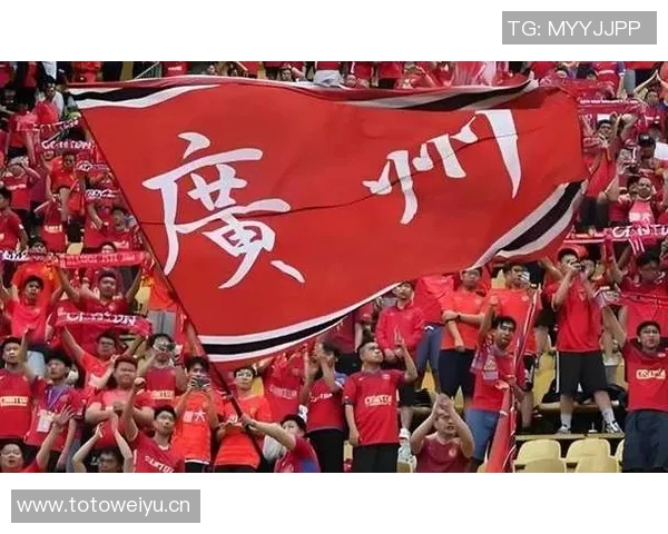 广州排球队比赛经验引发热议球迷观点各异的背后故事