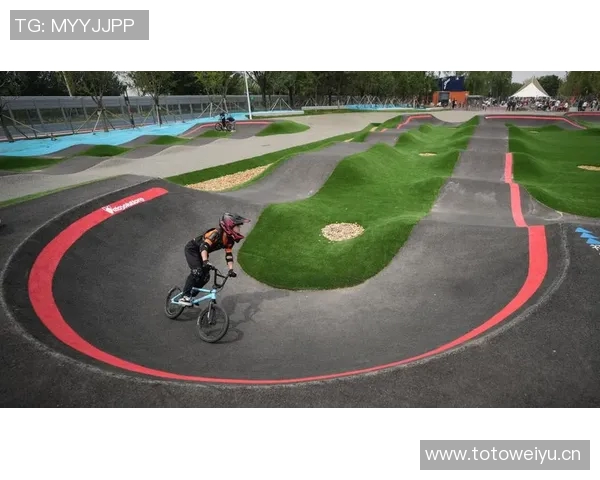 极限运动的魅力与挑战：深入探讨南京极限运动队的训练与管理策略